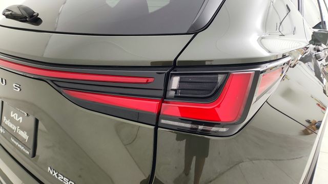 2023 Lexus NX 250 Premium Green at DeMontrond Auto Country