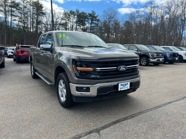 Gray 2025 Ford F-150 XLT SuperCrew 4WD Pickup Truck Four-Wheel Drive Automatic