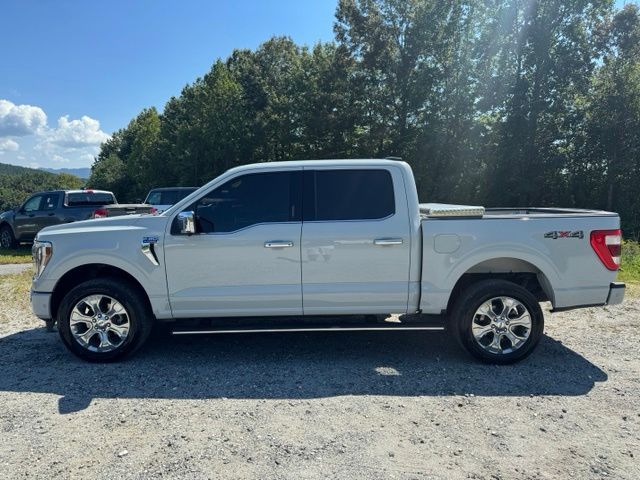 Used 2023 White Ford Platinum image 4