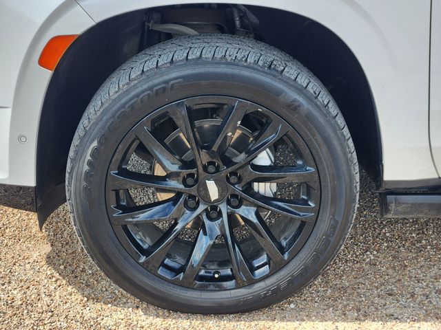 2023 Crystal White Tricoat Cadillac Escalade ESV Sport Platinum RWD SUV