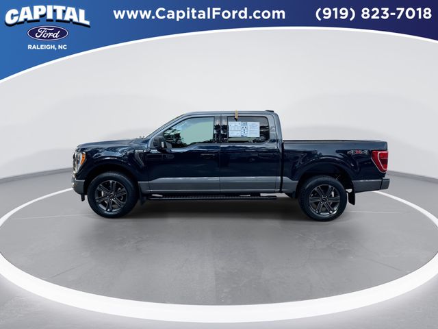 Used 2023 Blue Ford XLT image 5