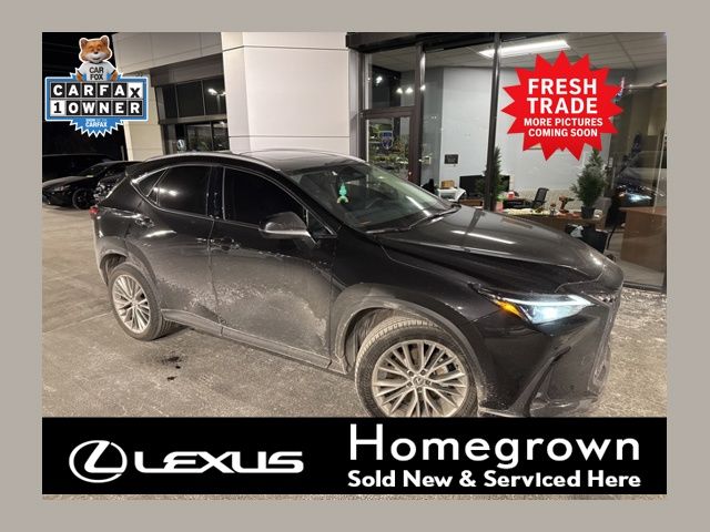 2025 Lexus NX 350 F SPORT 1 AWD