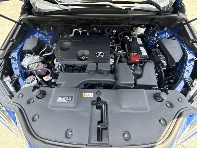 Used 2025 Lexus NX SUV