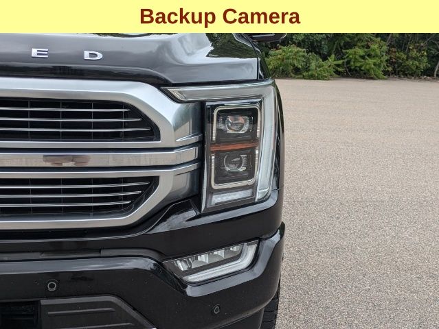 2021 Ford F-150 Limited 9