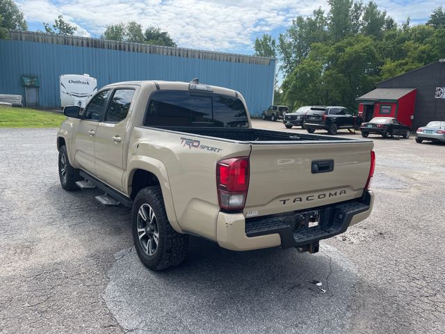 Used 2019 Toyota Tacoma Truck
