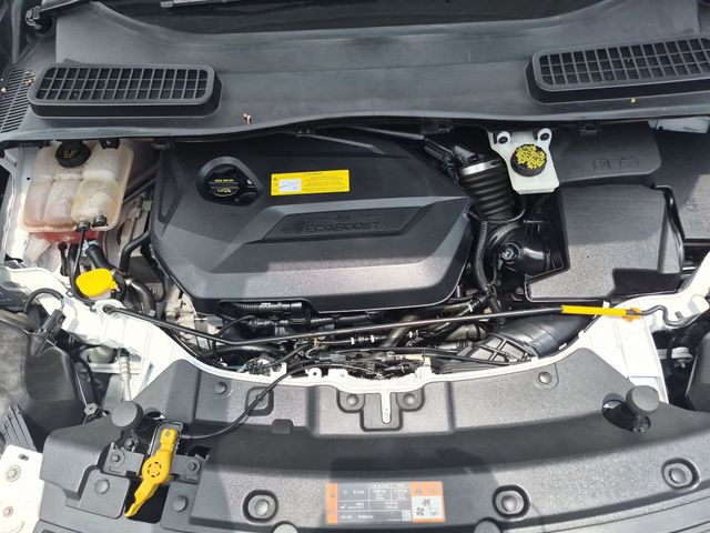 Used 2016 Ford Escape SE 4D Sport Utility