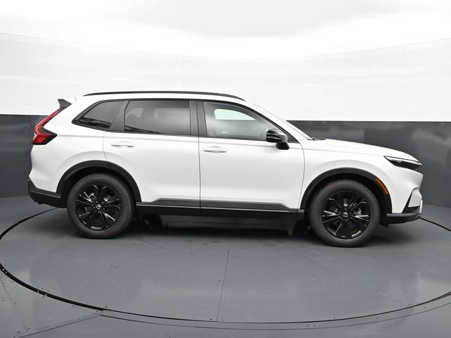 New 2026 White Honda Sport-L image 6