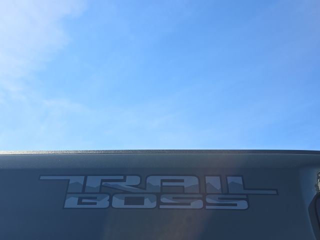 2025 Chevrolet Silverado 3500HD LTZ:168696A