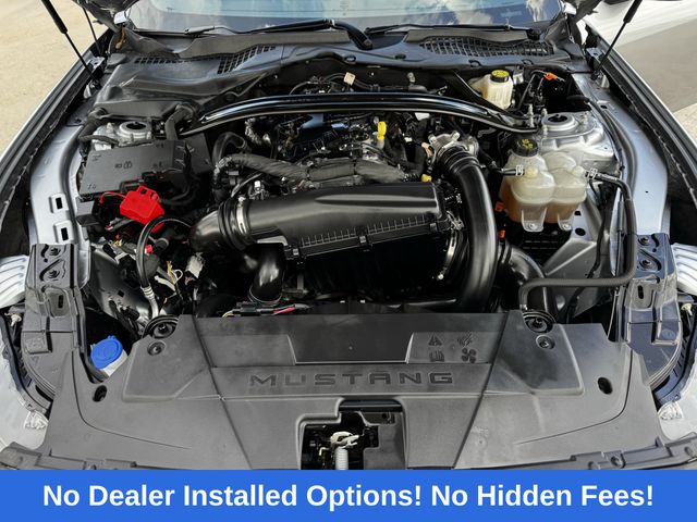 2025 Ford Mustang EcoBoost Premium Silver at DeMontrond Mazda