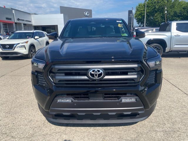 2024 Toyota Tacoma  photo