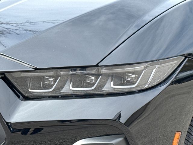 Certified Used 2024 Black Ford GT Premium image 4