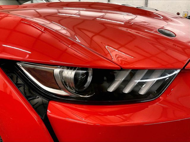 2022 Ford Mustang Shelby GT500 Orange at Luther Ford