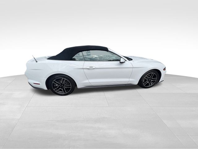 2020 Ford Mustang EcoBoost Premium 13