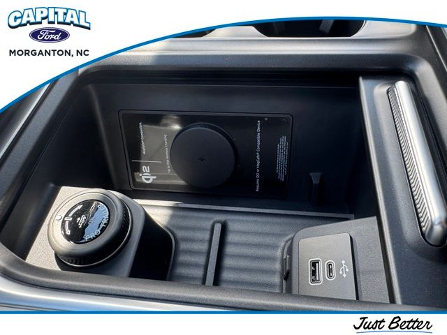 New 2027 Blue Ford Platinum image 29