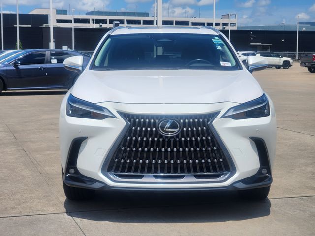2025 Lexus NX 350 Premium White at Westside Lexus