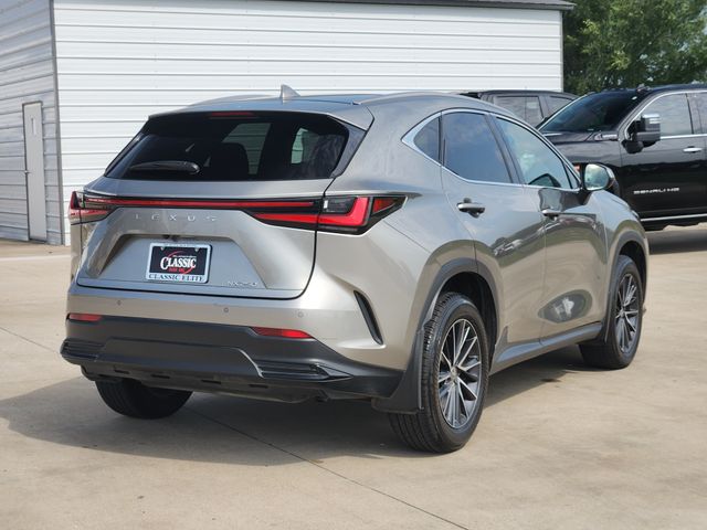 2024 Lexus NX 250 Premium - 6