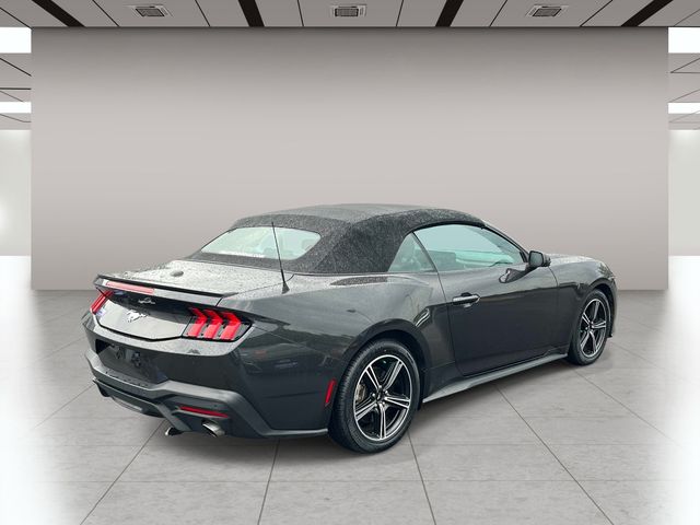 Used 2024 Gray Ford EcoBoost Premium image 3