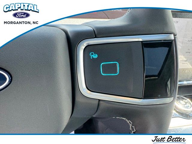 New 2027 Blue Ford Platinum image 21