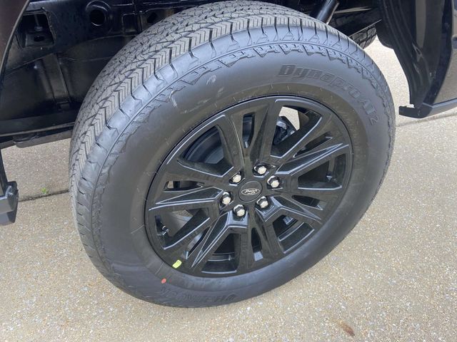 New 2026 Black Ford Platinum image 7