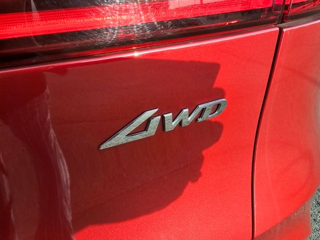 Used 2025 Red Genesis 2.5T image 13