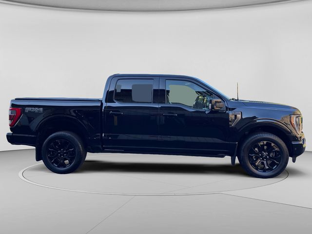 Used 2023 Black Ford Platinum image 6