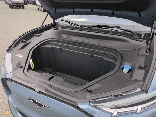 Used 2023 Blue Ford California Route 1 image 36