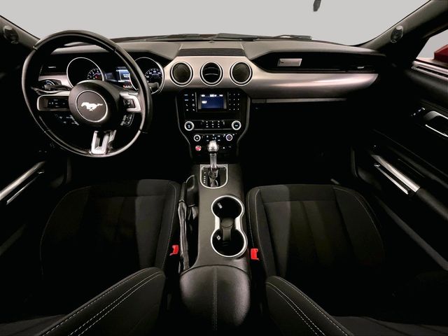 2019 Ford Mustang GT Red at Grove City Ford