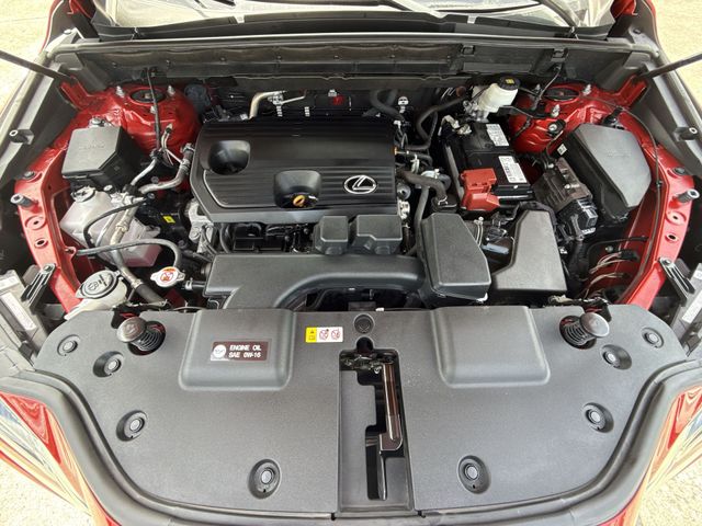 Used 2023 Lexus NX SUV
