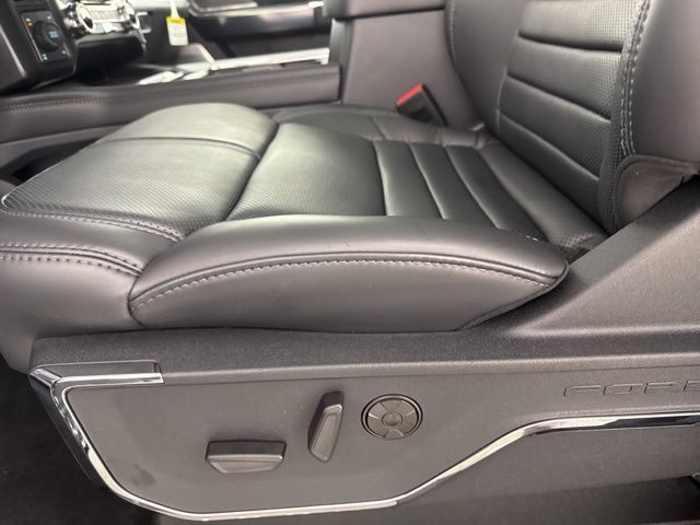 2025 Agate Black Metallic Ford Super Duty F-250 SRW Platinum 4X4 Truck