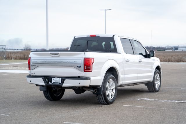 2015 Ford F-150 Platinum 7