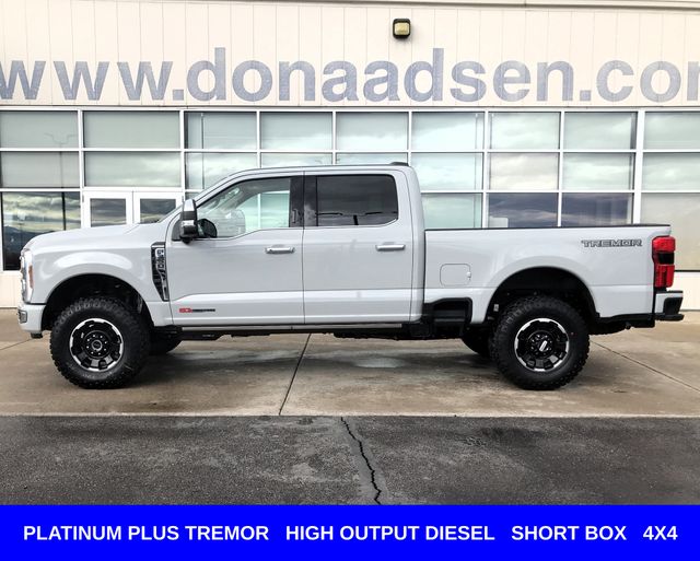 New 2026 Gray Ford Platinum image 3