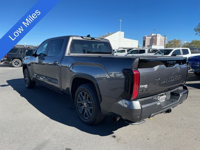 2022 Toyota Tundra Platinum 30