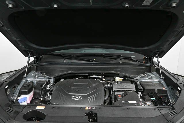 Palisade XRT