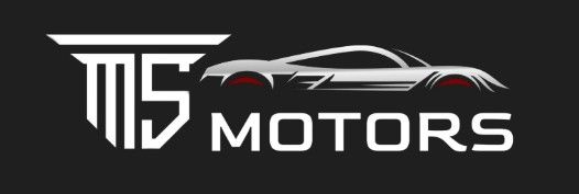 MS MOTORS LLC