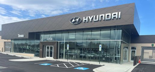 Team Hyundai