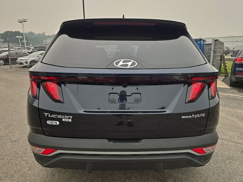 Used 2024 Hyundai Tucson Hybrid SUV
