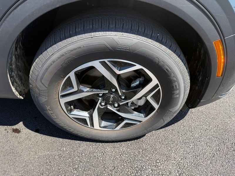 Used 2025 Kia Sportage SUV