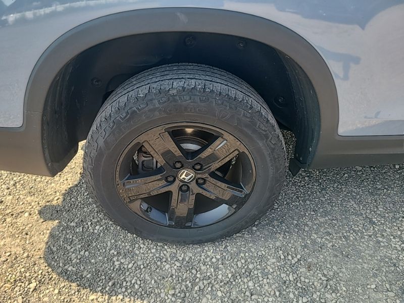 Used 2023 Honda Ridgeline Truck