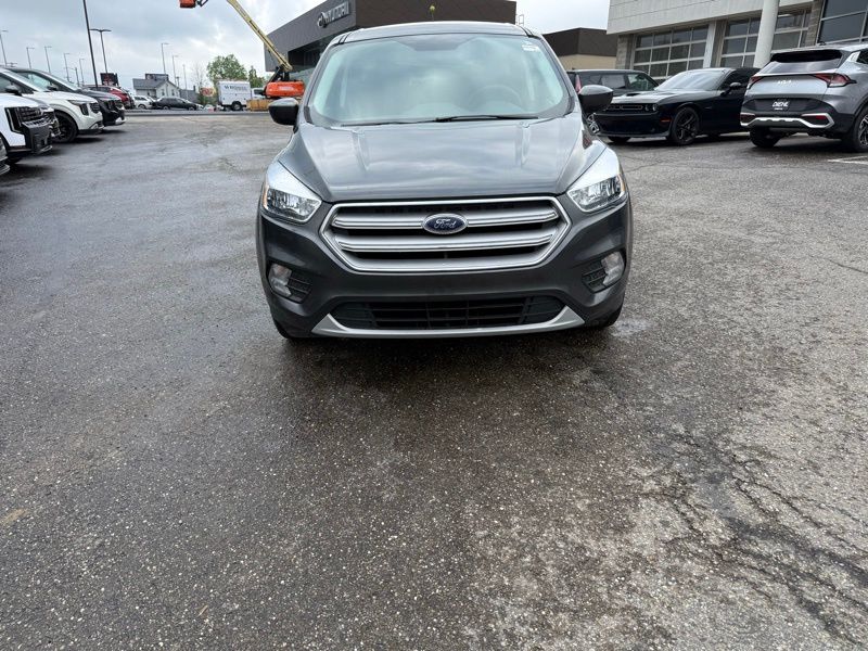 Used 2019 Ford Escape SE with VIN 1FMCU9GD5KUB51678 for sale in Massillon, OH