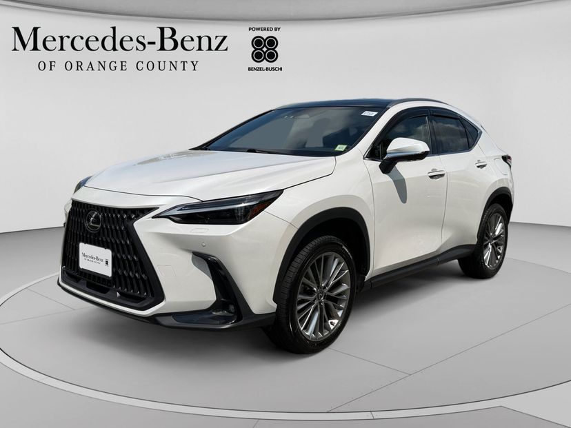 2024 Lexus NX 350 Luxury in White Pearl