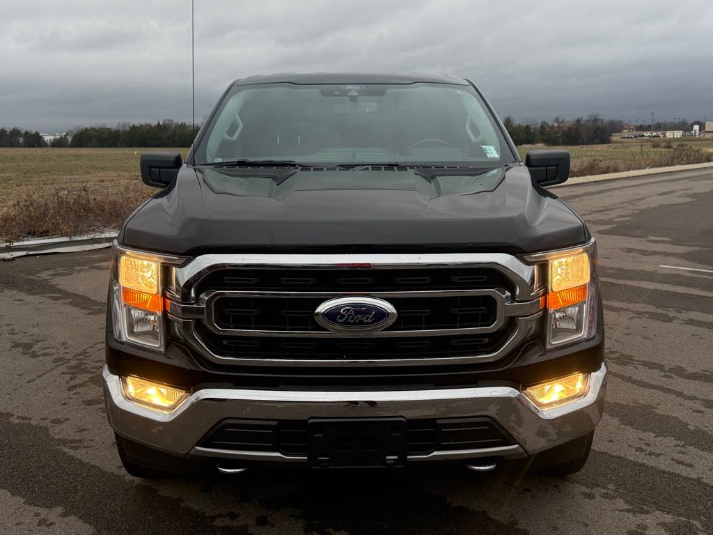 used 2021 Ford F-150 car, priced at $35,777