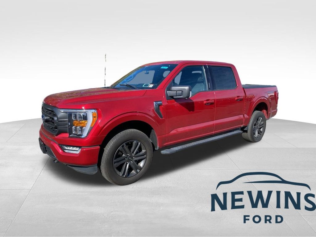 used 2021 Ford F-150 car