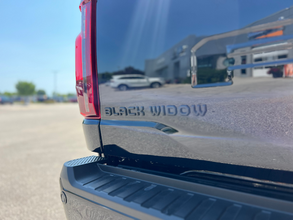 new 2025 Ford F-150 car, priced at $108,409