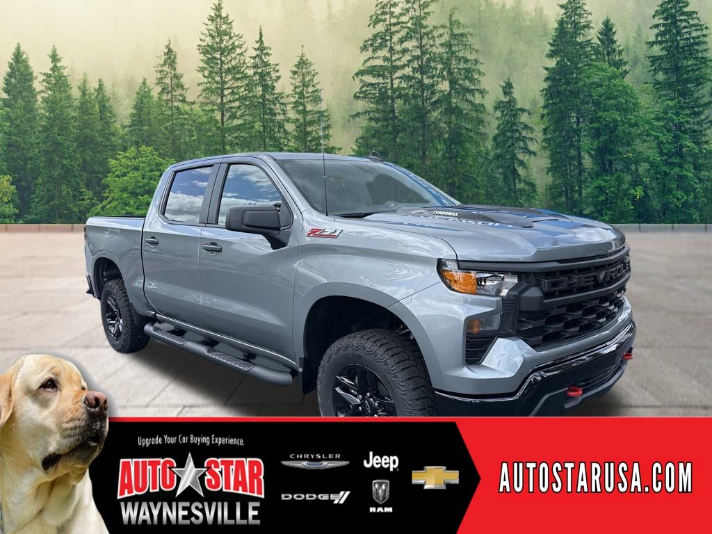new 2025 Chevrolet Silverado 1500 car, priced at $49,485