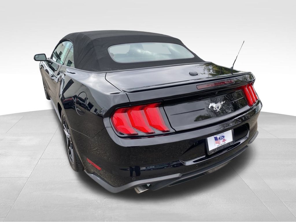 used 2019 Ford Mustang car, priced at $19,995