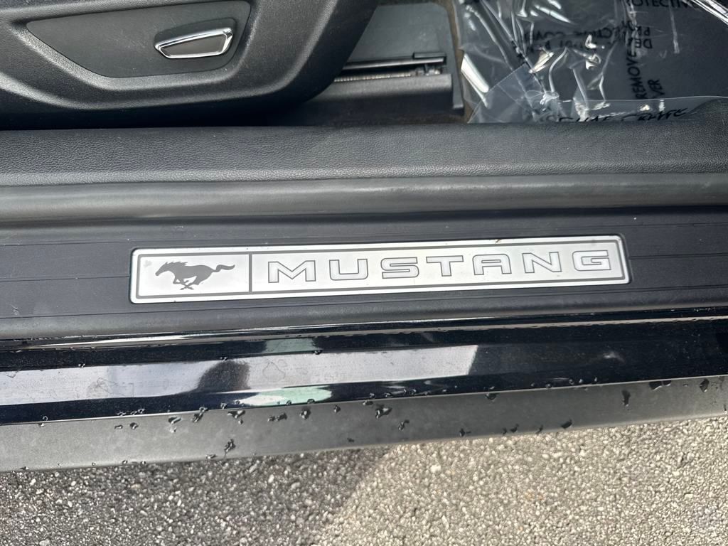 used 2019 Ford Mustang car, priced at $17,850