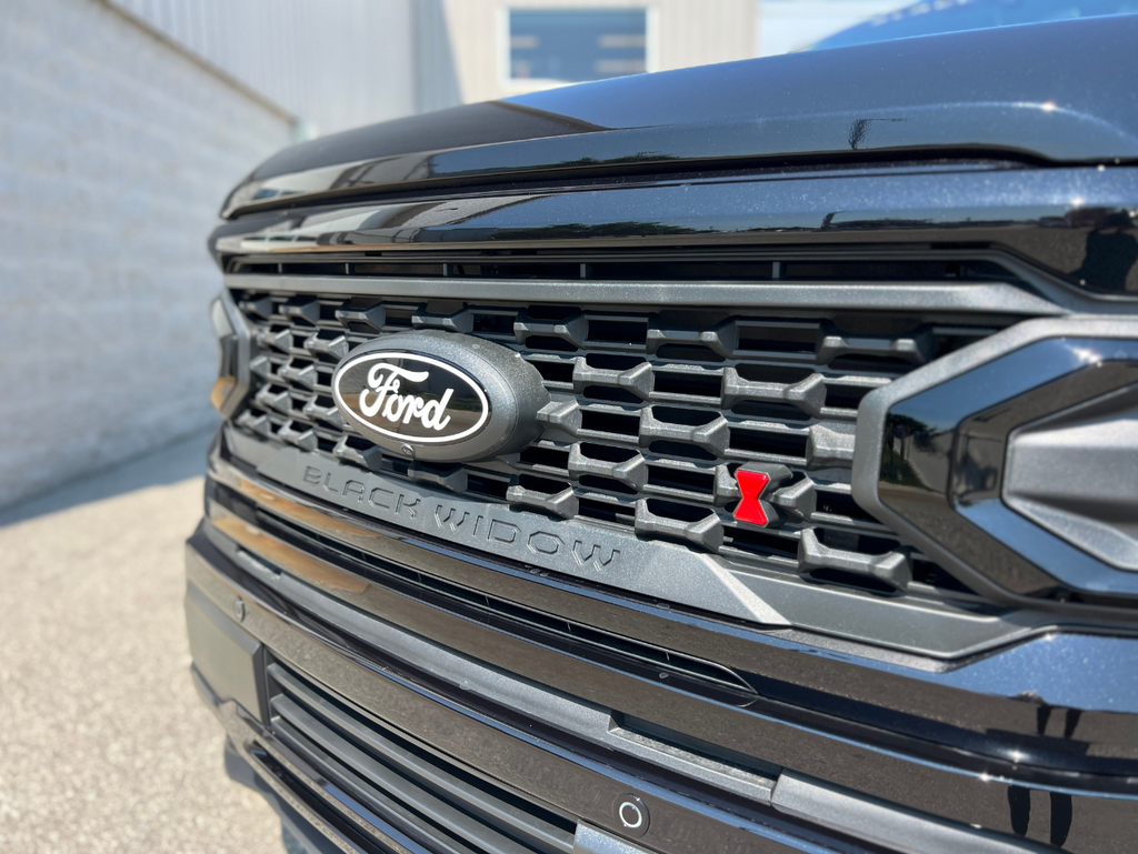 new 2025 Ford F-150 car, priced at $108,409