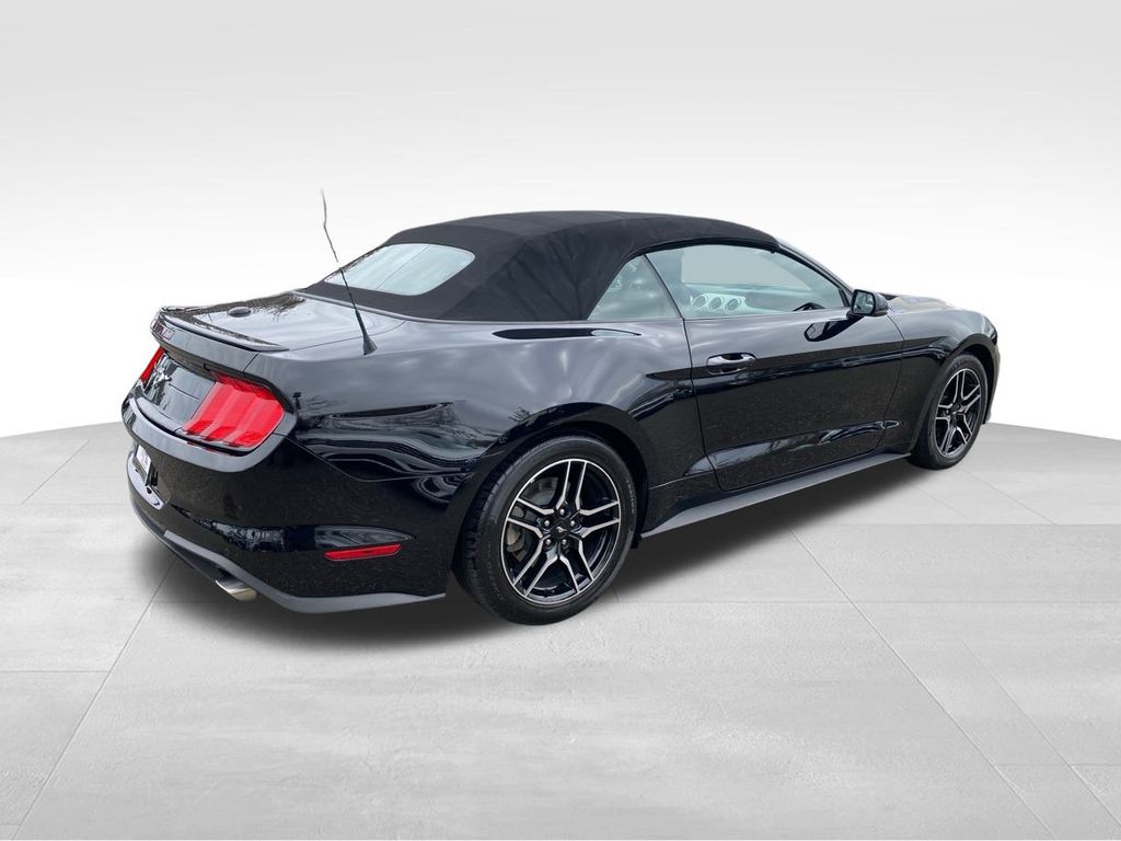 used 2019 Ford Mustang car, priced at $19,995