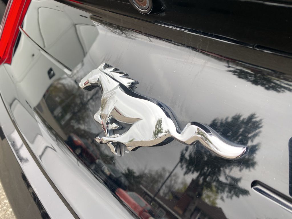 used 2019 Ford Mustang car, priced at $19,995