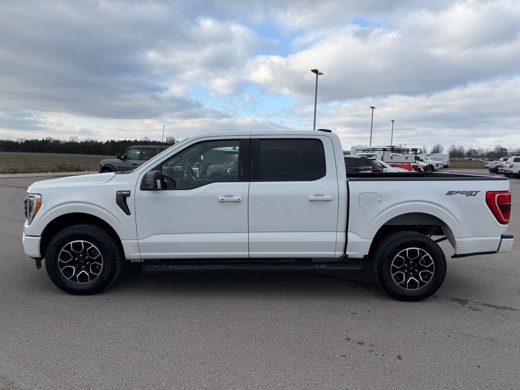 used 2023 Ford F-150 car, priced at $41,000